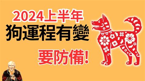 2024狗年運程1982|属狗1982年出生的人2024年全年运程运势